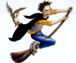 Harry Potter Et La Coupe Du Feu